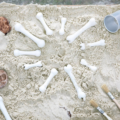 Big Bones Set - 20 pieces
