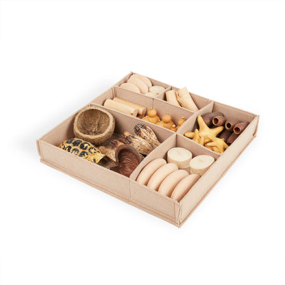 Nature's Geometry: Toddler Loose Parts STEM Kit