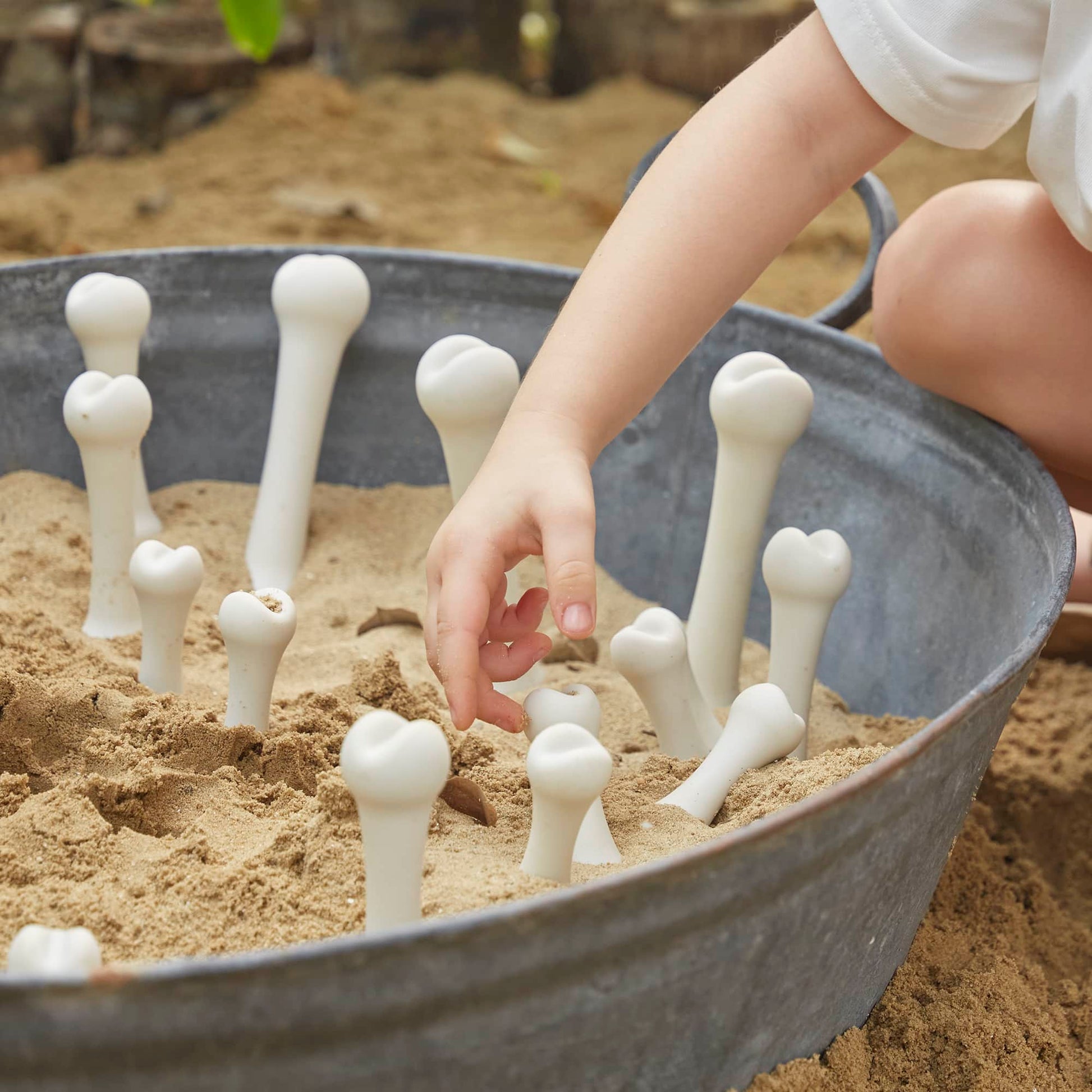Big Bones Set - 20 pieces