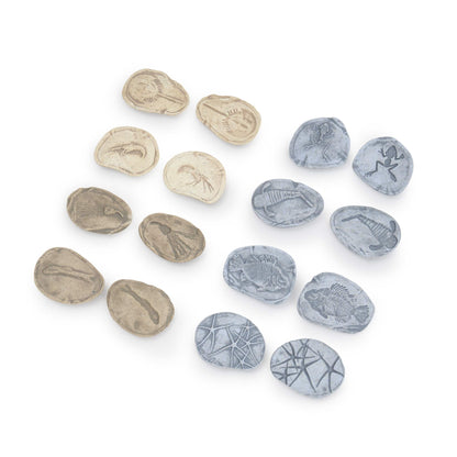 Magnetic Matching Fossil Stones: Aquatic Life - Set of 8
