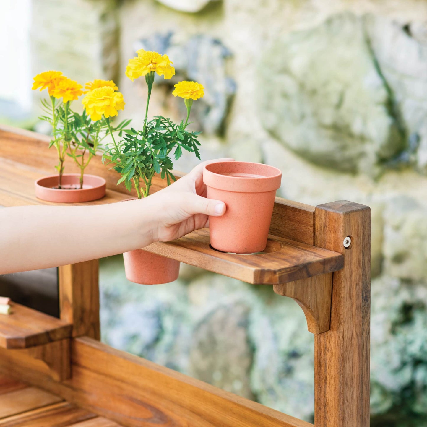 Martha Stewart Kids' Outdoor Gardening Tools and Pots