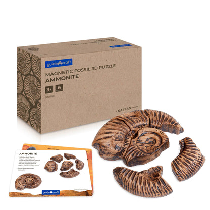 Magnetic Fossil 3D Puzzle