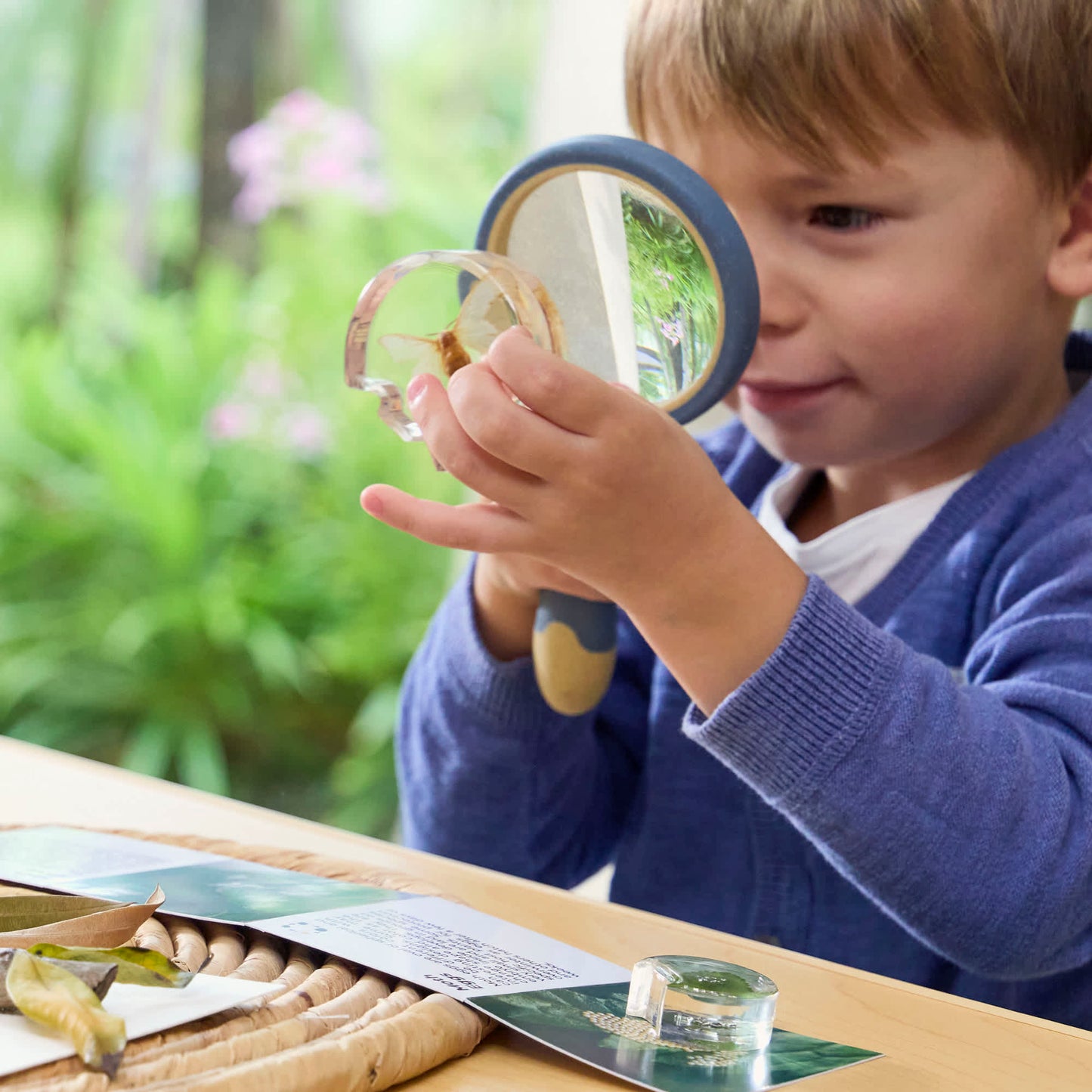 Specimen Life Cycle Puzzles