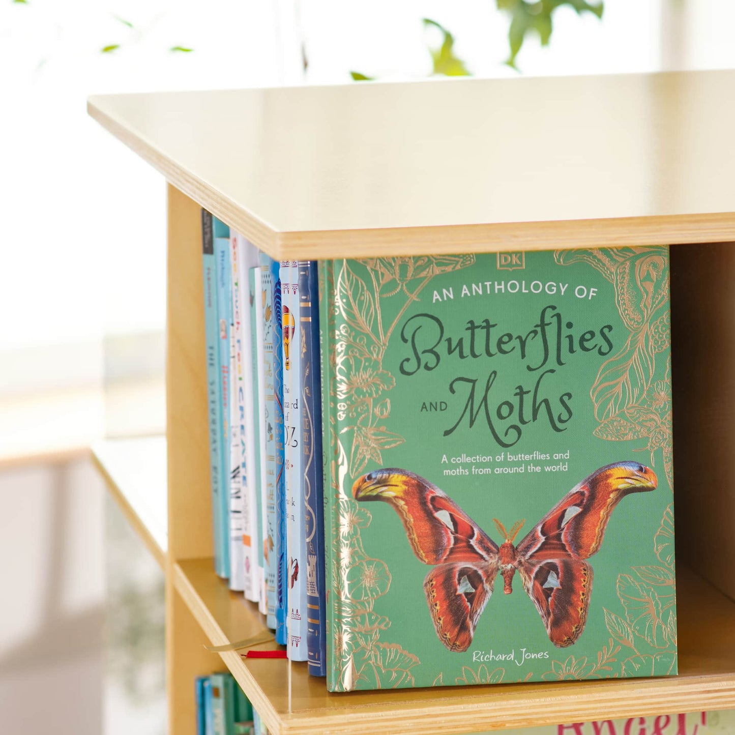 EdQ Rotating Big Book Display