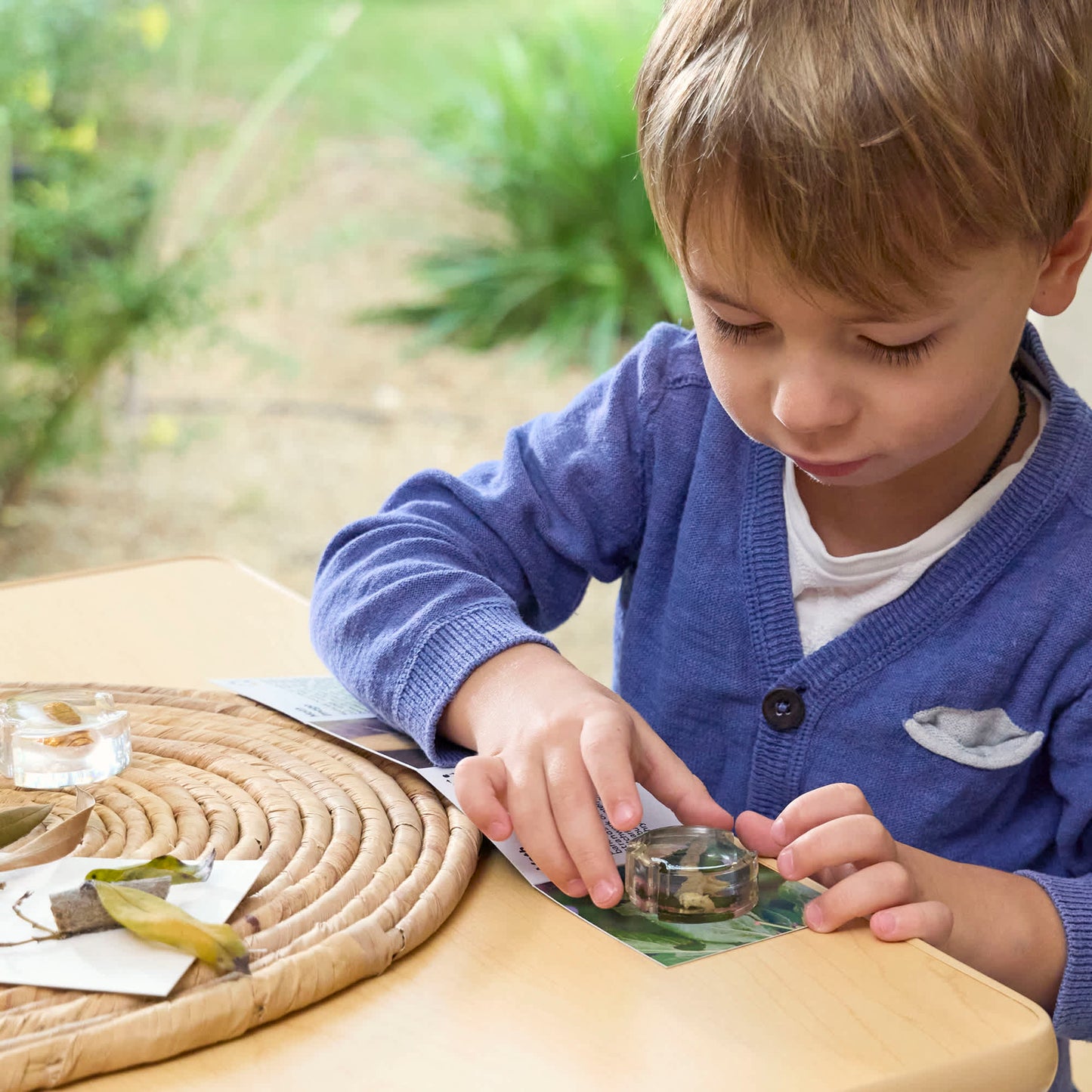 Specimen Life Cycle Puzzles