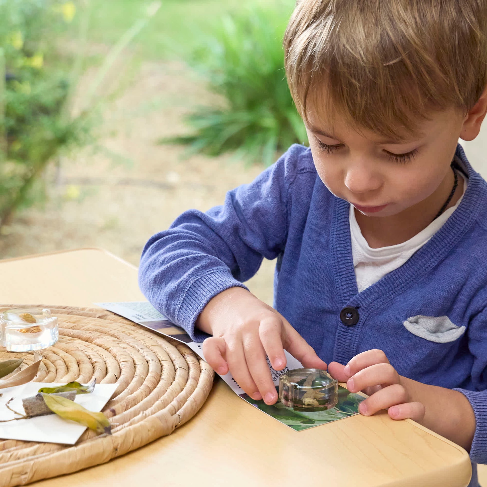 Specimen Life Cycle Puzzles