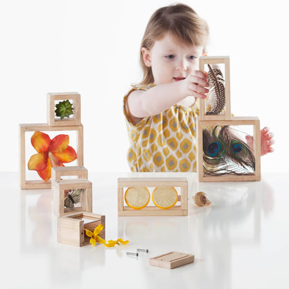 Treasure Blocks