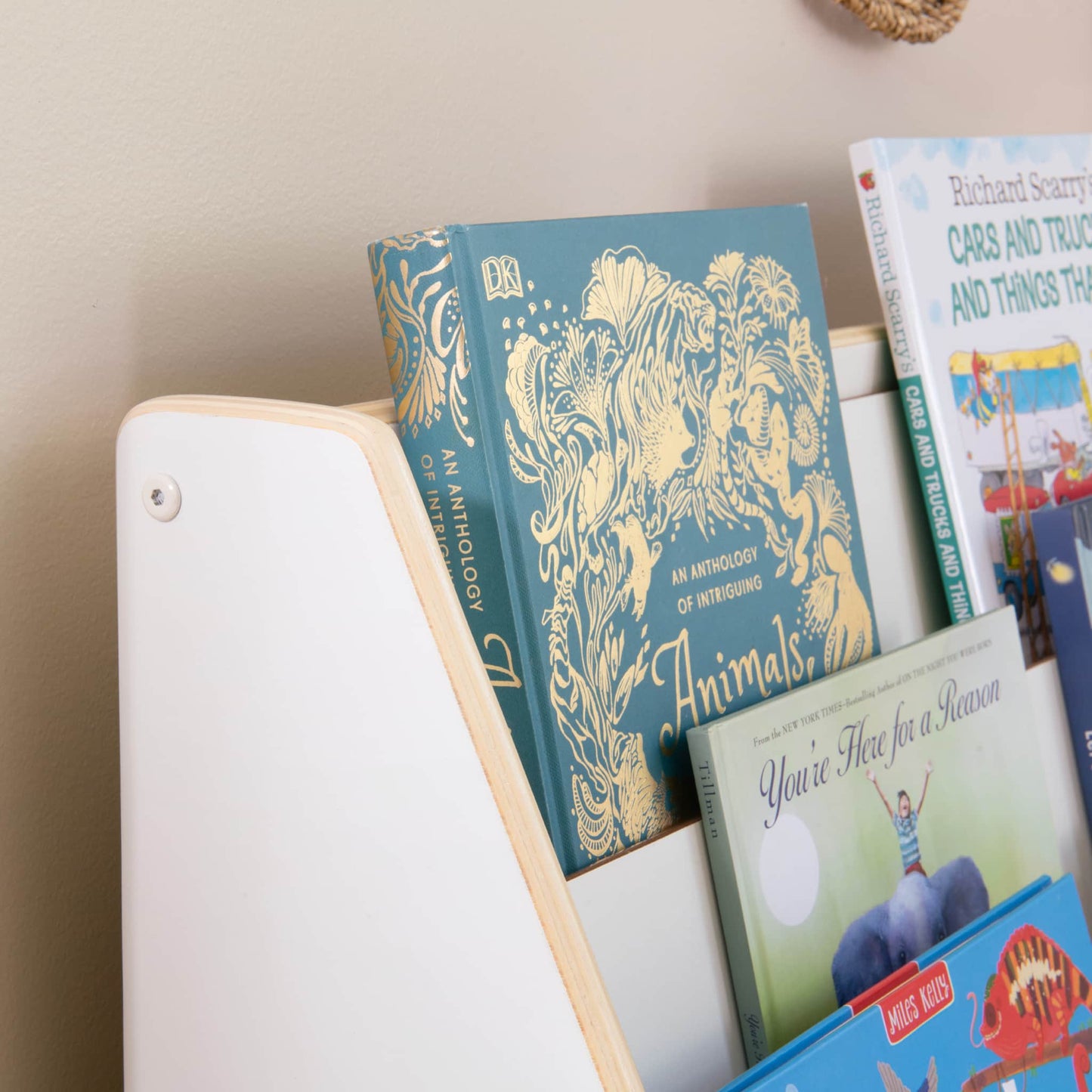 EdQ Book and Bin Display